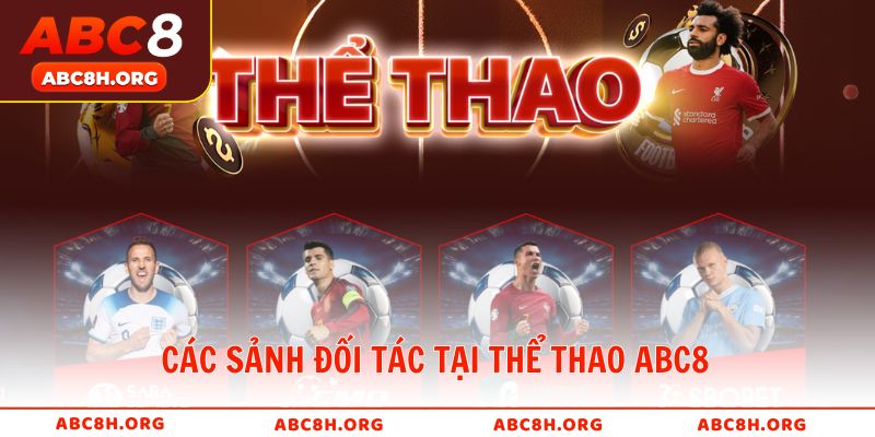 Các sảnh đối tác tại Thể Thao uy tín hợp tác cùng ABC8