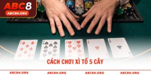 Cách Chơi Xì Tố 5 Cây Thắng Lớn Cho Người Mới Tại ABC8