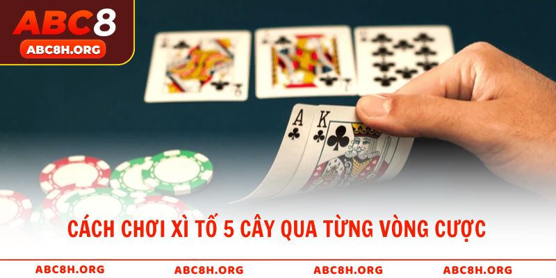 Cách chơi xì tố 5 cây qua từng vòng cược tại ABC8