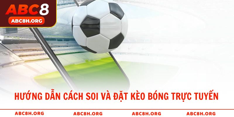 Hướng dẫn cách soi và đặt kèo bóng trực tuyến
