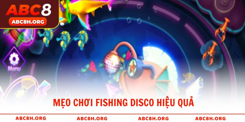 Mẹo chơi Fishing Disco hiệu quả giúp tăng tỷ lệ thắng lớn