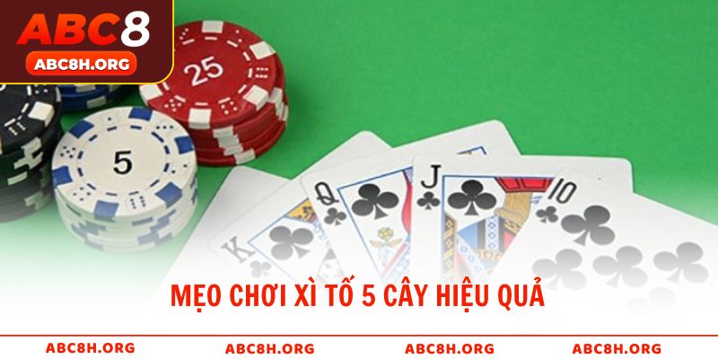 Mẹo chơi xì tố 5 cây hiệu quả giúp tăng tỷ lệ thắng từ ABC8