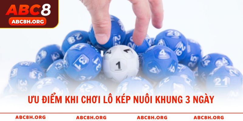 Ưu điểm khi chơi lô kép nuôi khung 3 ngày tại nhà cái ABC8